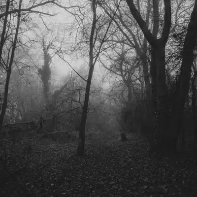  Grey days