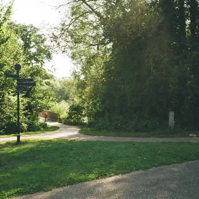 Summer walks