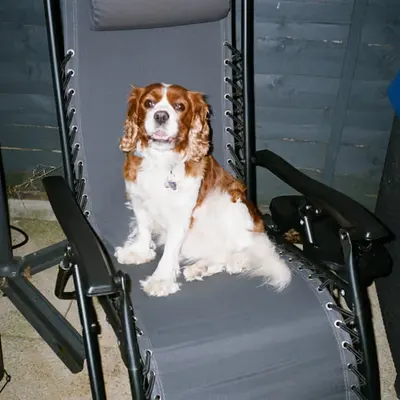 Bailey on film