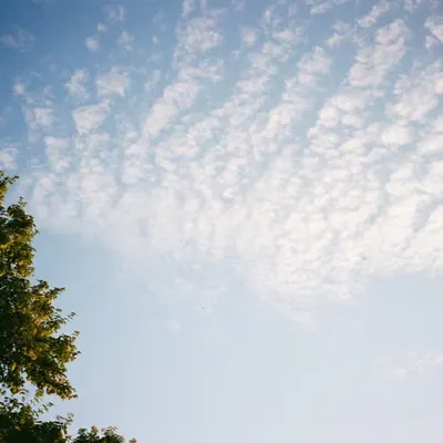 Cloud watching
