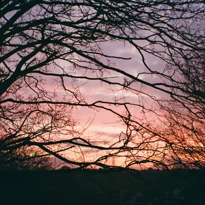 Sunset on film