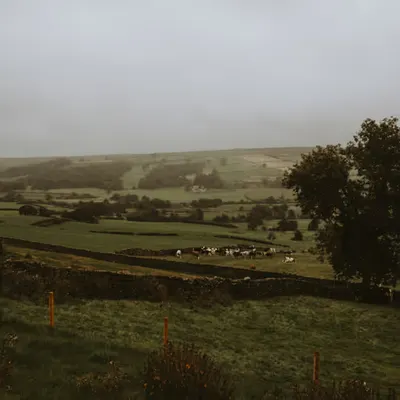 moody days in the countryside