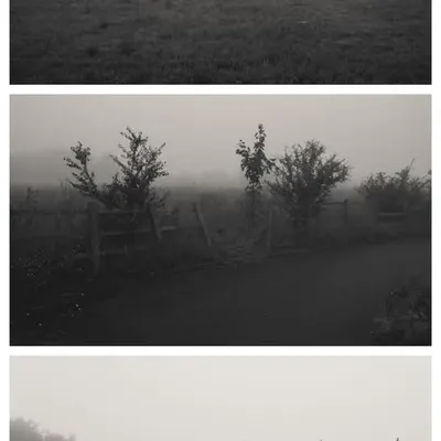 lonely greys