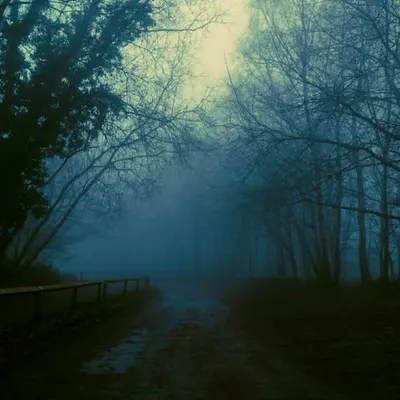 mystical pathways