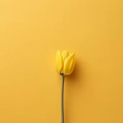 Fragility