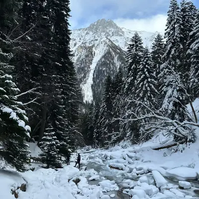 cold mountains