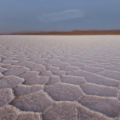 Salt Canvas