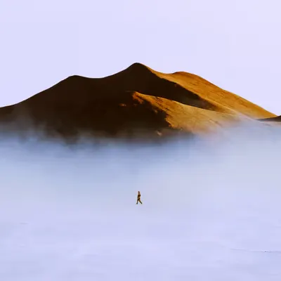 Wanderer Series early 2021 Concepts
