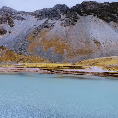 Andes Harmony 