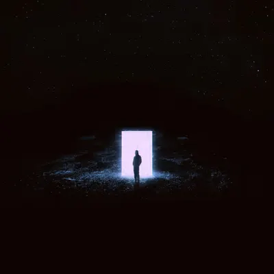 The Portal 