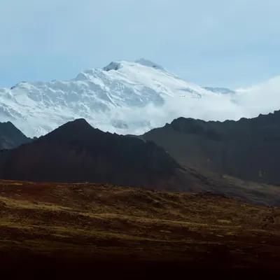 Guardian of the Andes