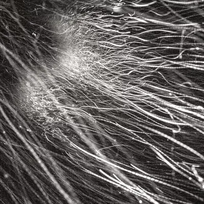 L1210373 : An omen of the skies