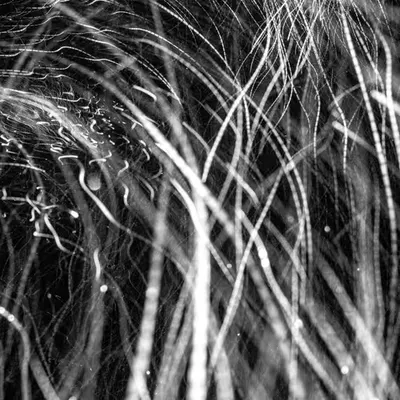 L1210376 : An omen of the skies