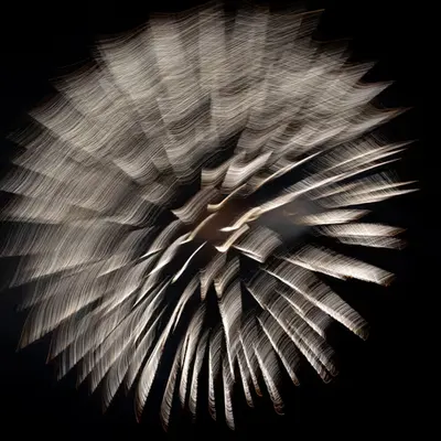 L1190339