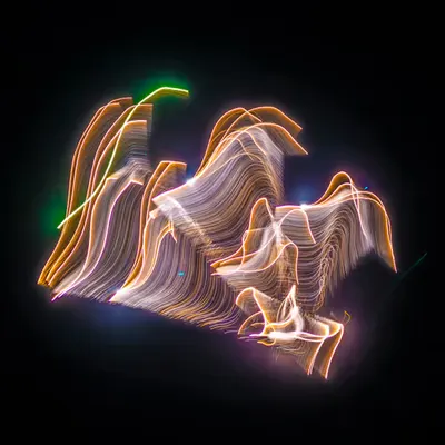 L1190426