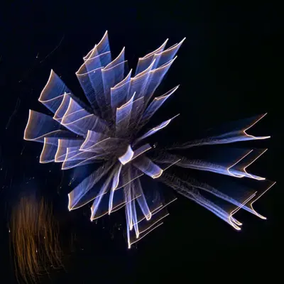 L1190462