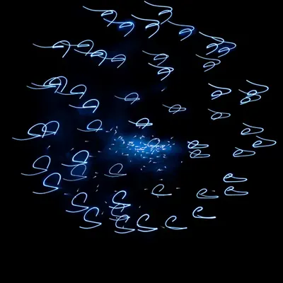 L1190496