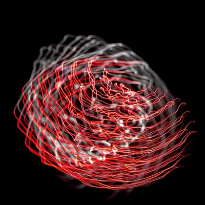 L1180708