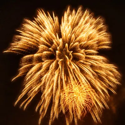 L1180729