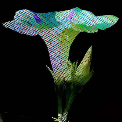 Artography
