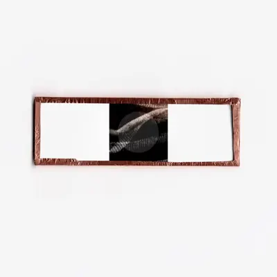 GXF MICRO-SLIDE FINGERPRINT