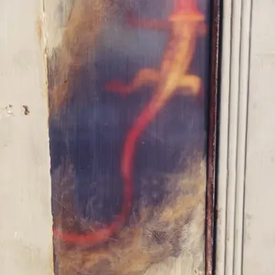Lizard in the Wall