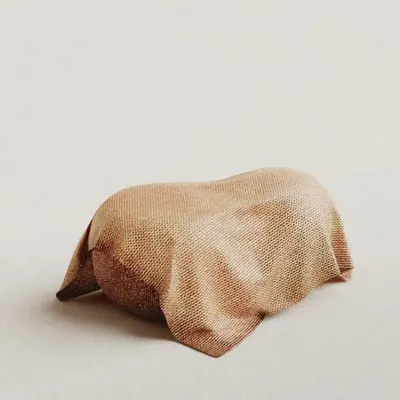 #17 - Veiled Still Life