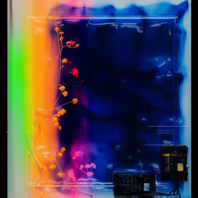Inkjet Observatory