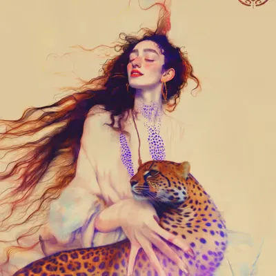 cheetah vision