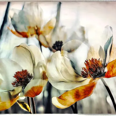 autumn flowers