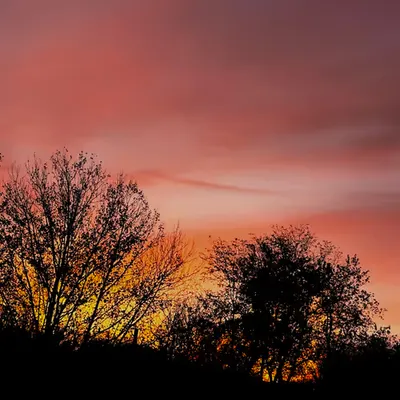 morning skies