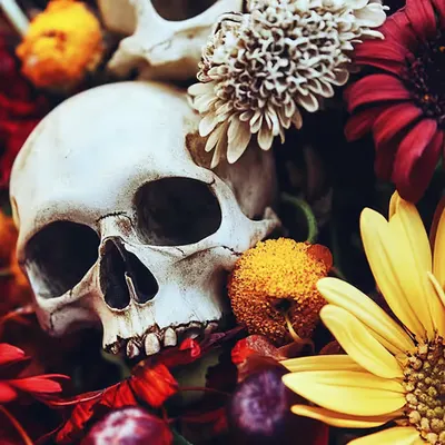 halloween bouquet 💀 🌺