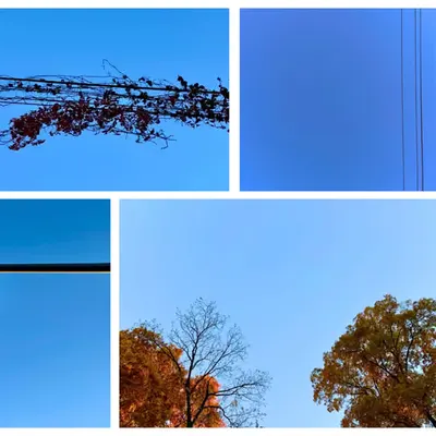 Shades of Autumn Blue