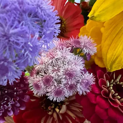 autumn bouquet