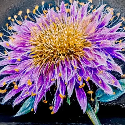 purple urple