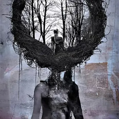 Trees On Your Mind