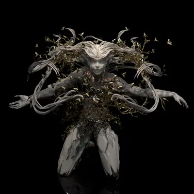 Horns, Life and Rot