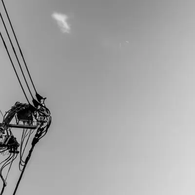 Raw Materials: Wires 2