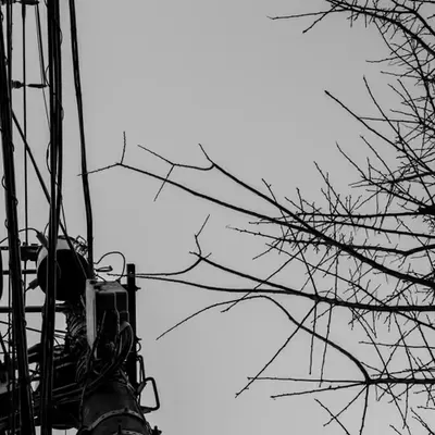 Raw Materials: Trees & Wires 2