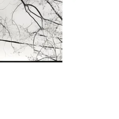 [dis]connections pt 1
