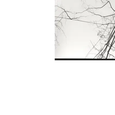 [dis]connections pt 3