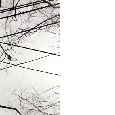 [dis]connections pt 4