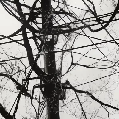 [dis]connections pt 5