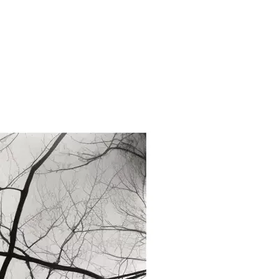 [dis]connections pt 7