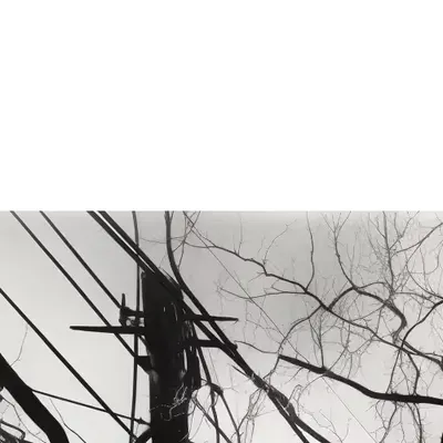[dis]connections pt 8