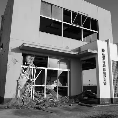 Remains Standing, Fukushima, 2018