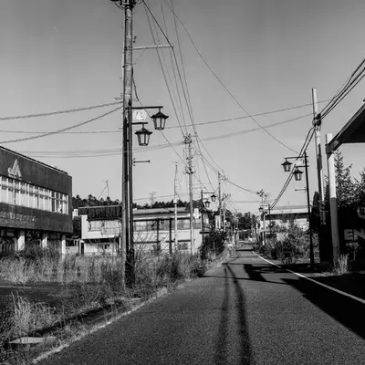 Overgrown, Okuma, 2017