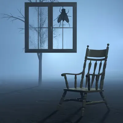 memory of a house fly