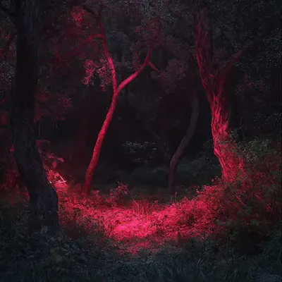 Catatonia (1)