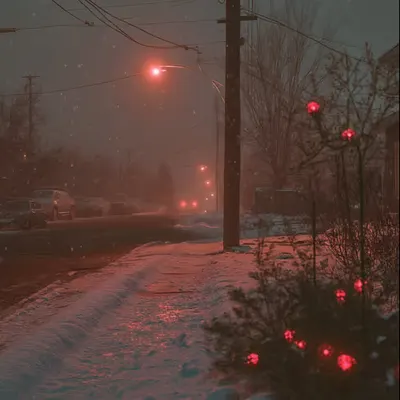 Christmas in the suburbs (1)